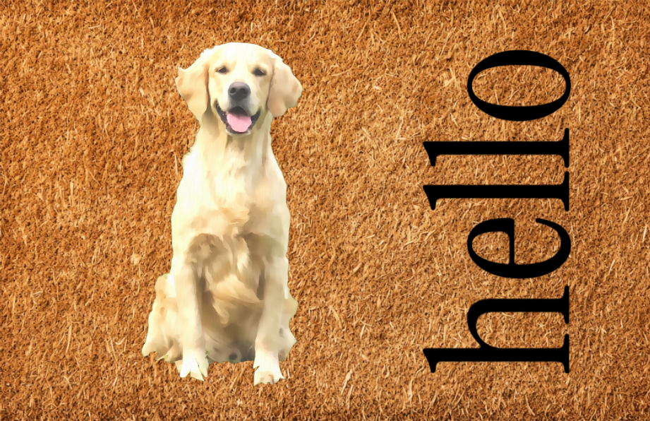 Pet Portrait Personalized Doormat