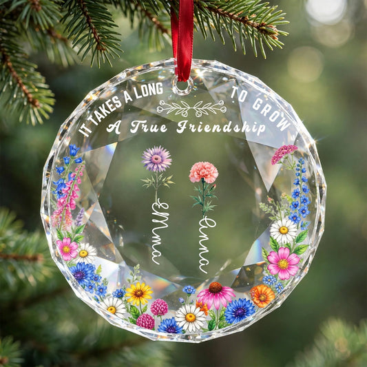 It Takes a Long Time to Grow Old Friends – Personalized Glass Ornament