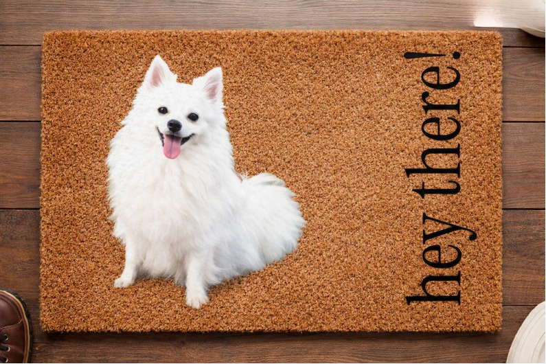 Pet Portrait Personalized Doormat