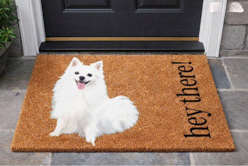 Pet Portrait Personalized Doormat